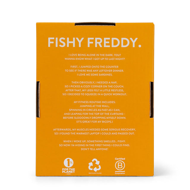 Freddy The British Shorthair In Giftbox