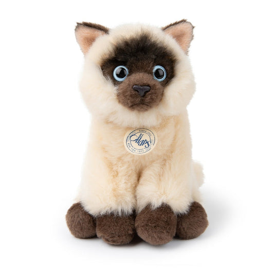 Eddie Siamese In Giftbox