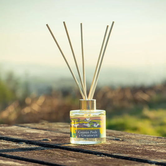 Diffuser 'Cennin Pedr' Daffodil