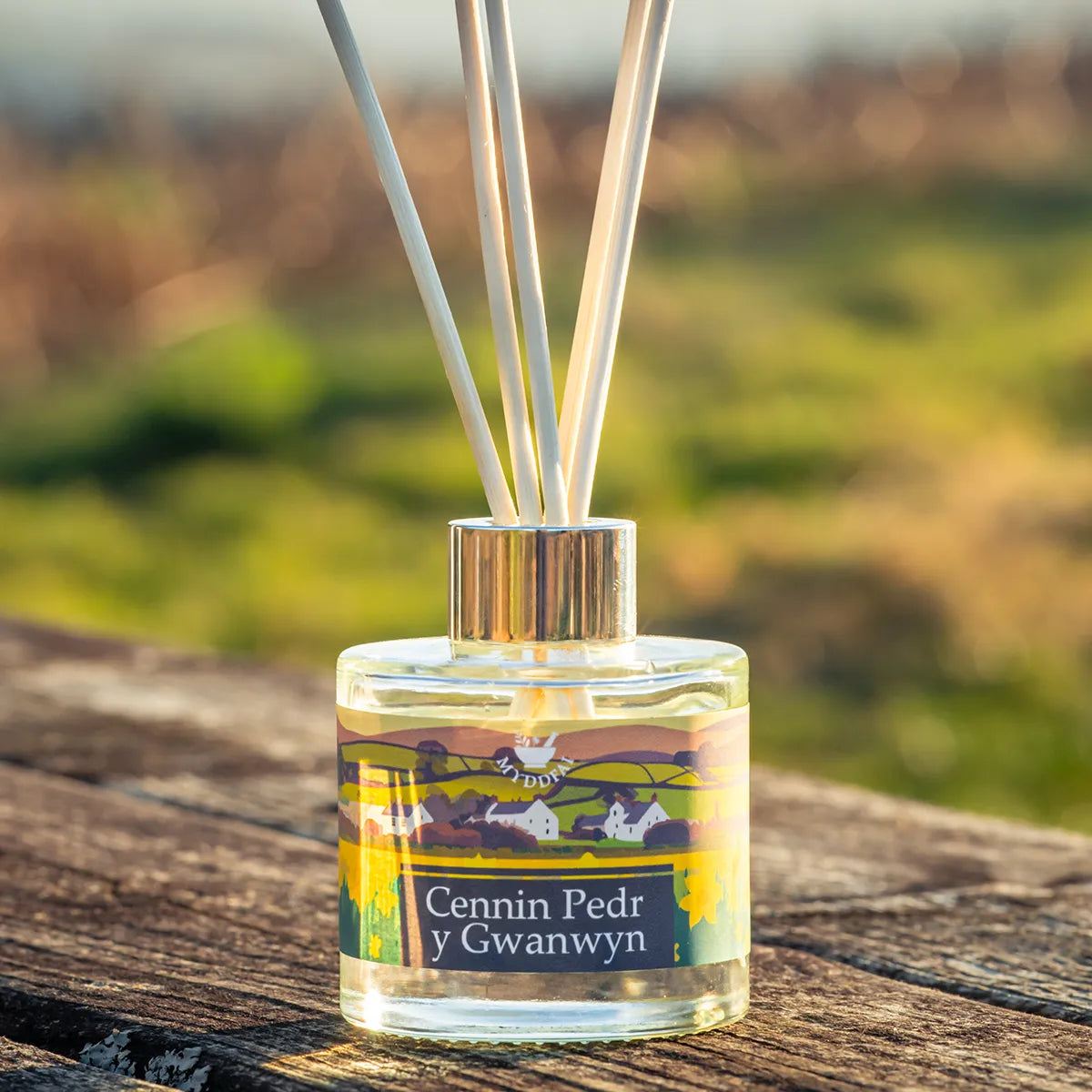 Diffuser 'Cennin Pedr' Daffodil