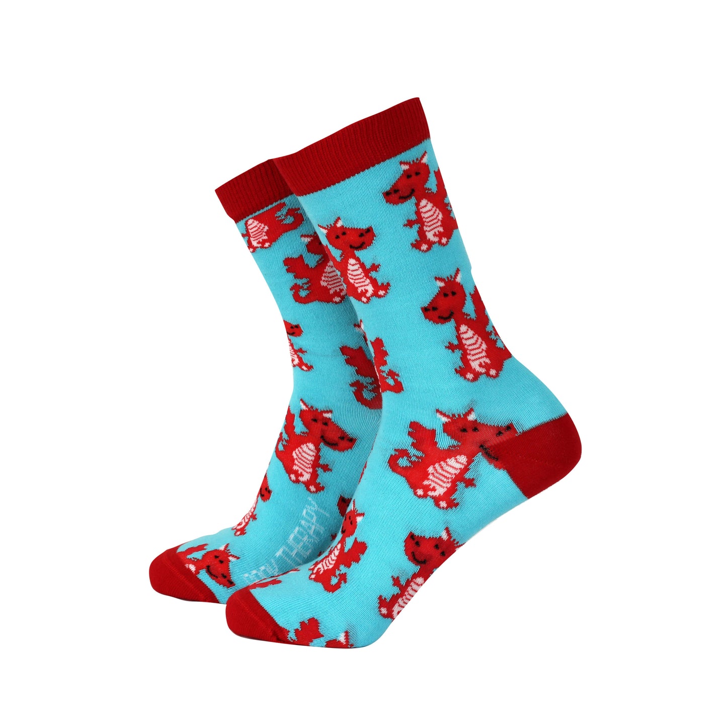 Ladies Dragons Socks