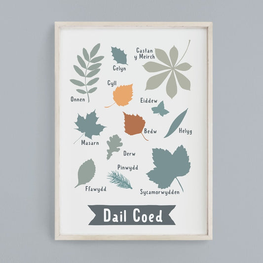 Dail y Coed Print