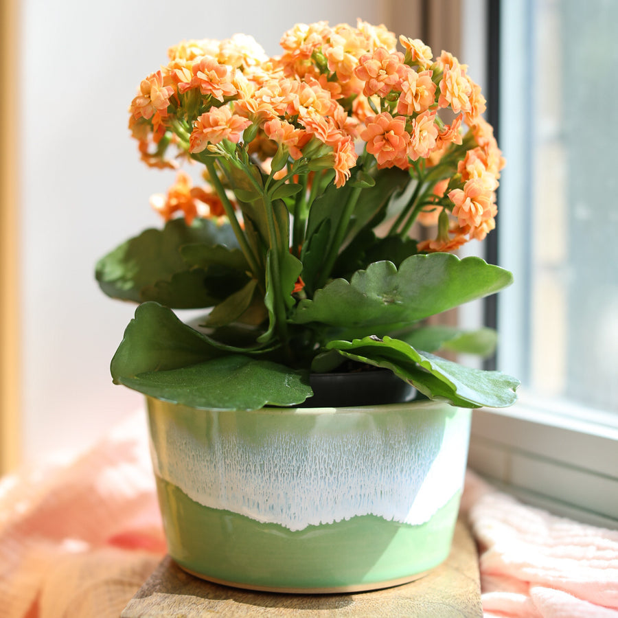 Pea Green Dish by Glosters