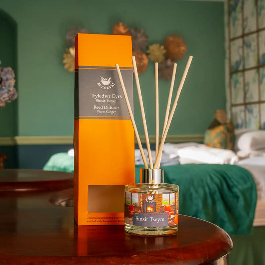 Reed Diffuser Sinsir Twym 'Warm Ginger'