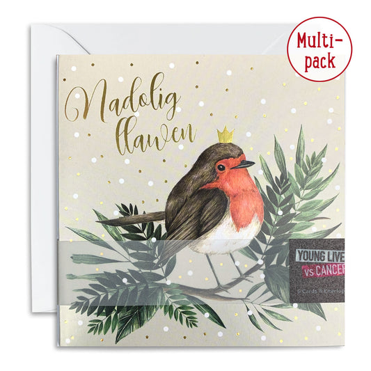 Christmas Robin Christmas Card Pack