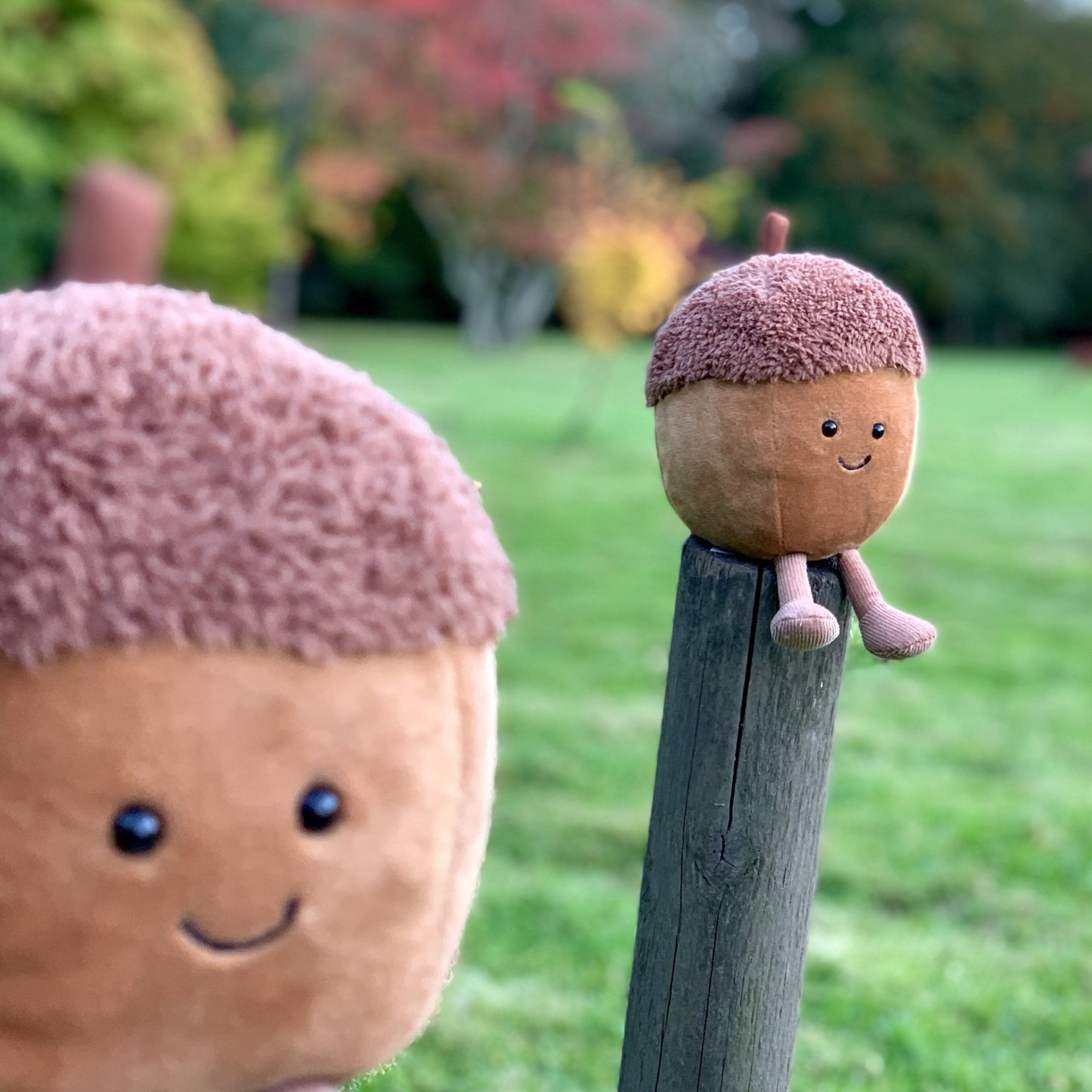 Amuseable Acorn by Jellycat
