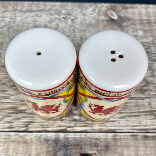 Dragon Salt and Pepper Shakers