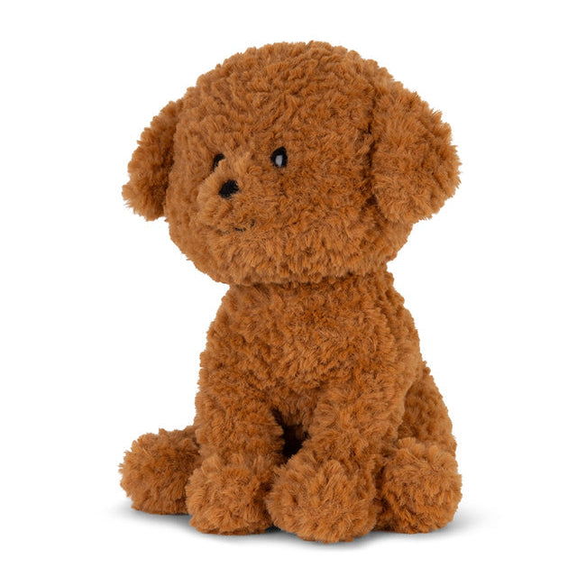 Stacy Labradoodle