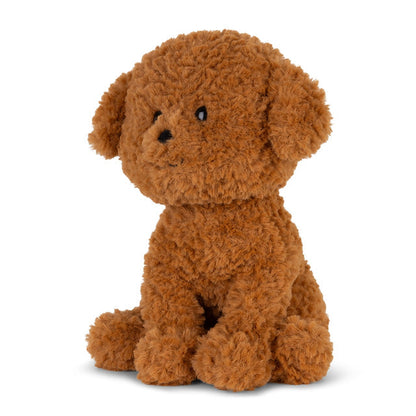 Stacy Labradoodle