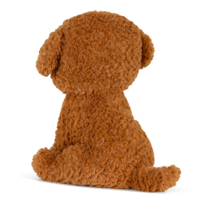Stacy Labradoodle