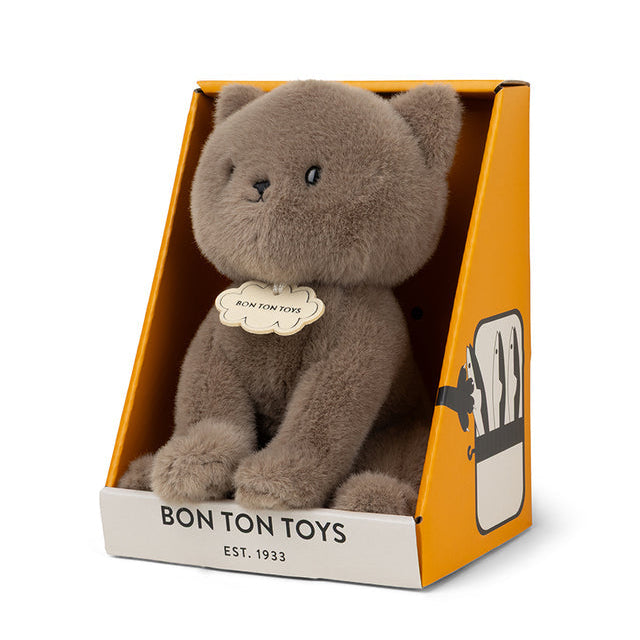 Freddy The British Shorthair In Giftbox