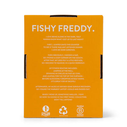 Freddy The British Shorthair In Giftbox