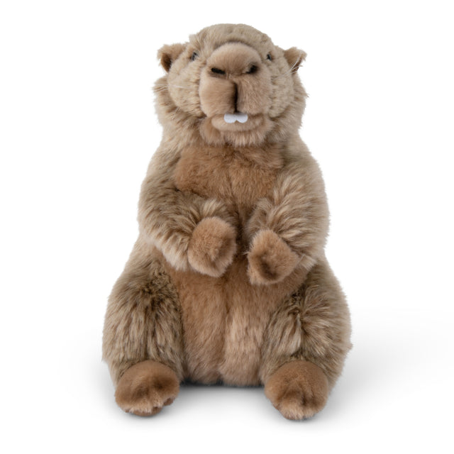 WWF Groundhog Marmot