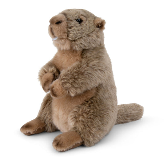 WWF Groundhog Marmot