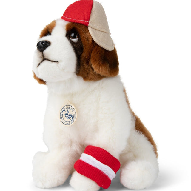 Herman St Bernard