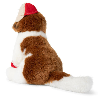 Herman St Bernard