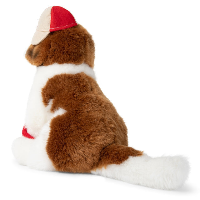 Herman St Bernard