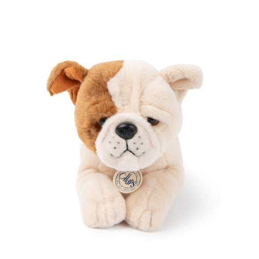Bertha Bulldog In Giftbox