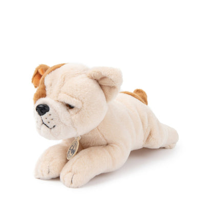 Bertha Bulldog In Giftbox