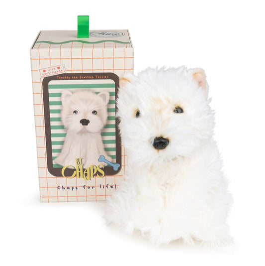 Timothy Scottish Terrier In Giftbox