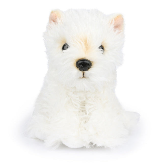 Timothy Scottish Terrier In Giftbox