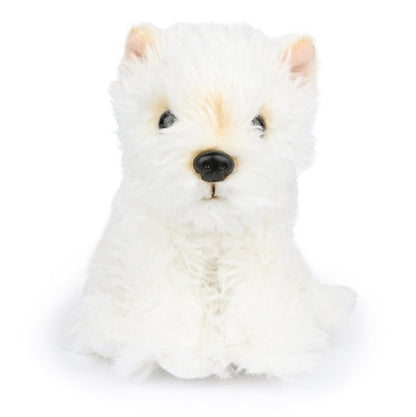 Timothy Scottish Terrier In Giftbox
