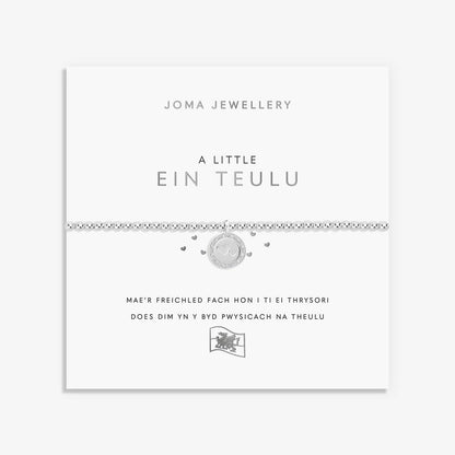 A Little 'Ein Teulu' Bracelet