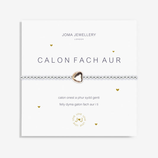 A Little 'Calon Bach Aur' Bracelet