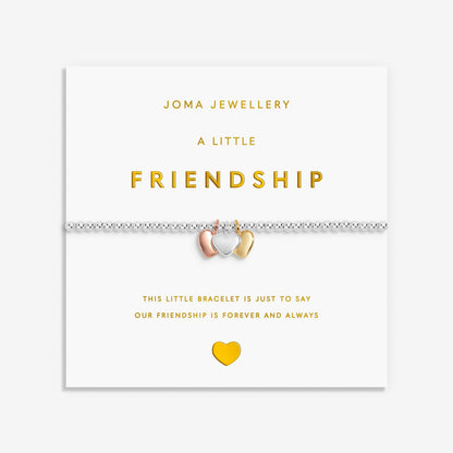 A Little Charmed Moments 'Friendship' Bracelet