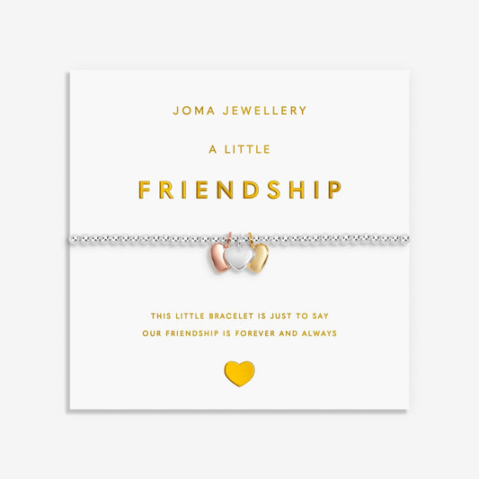 A Little Charmed Moments 'Friendship' Bracelet