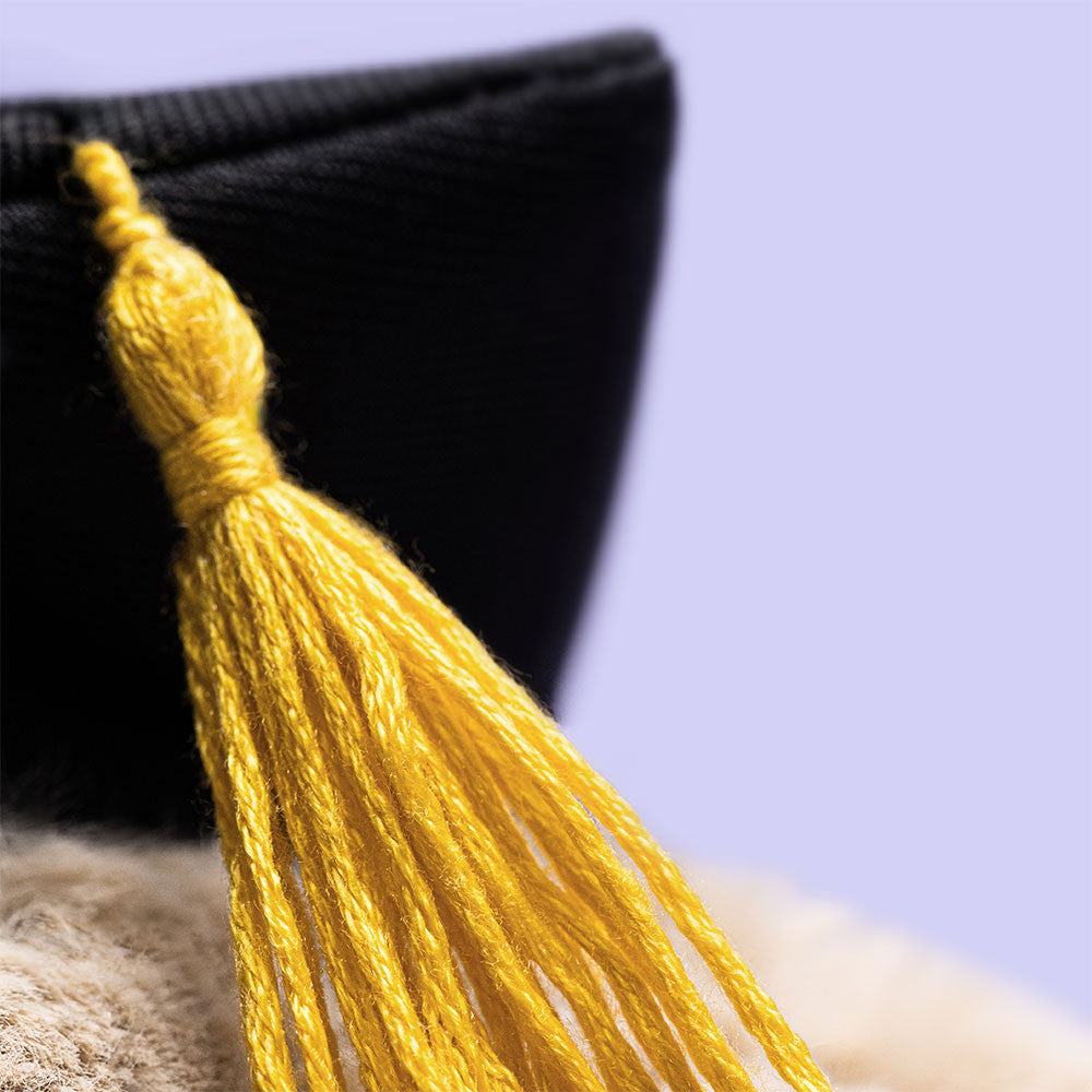 Bashful Bunny Graduation Outfit By Jellycat