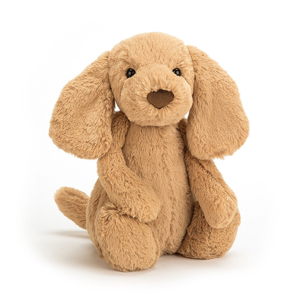 Little Bashful Toffee Pup by Jellycat