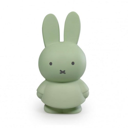 Medium Miffy Eucalyptus Money Box