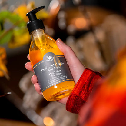 Hand Wash 'Sinsir Twym'