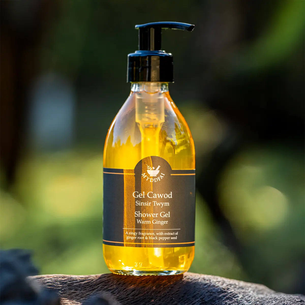 Warm Ginger Shower Gel
