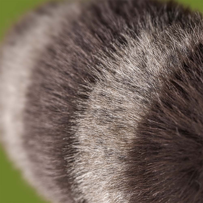 Trixiwoo Raccoon By Jellycat