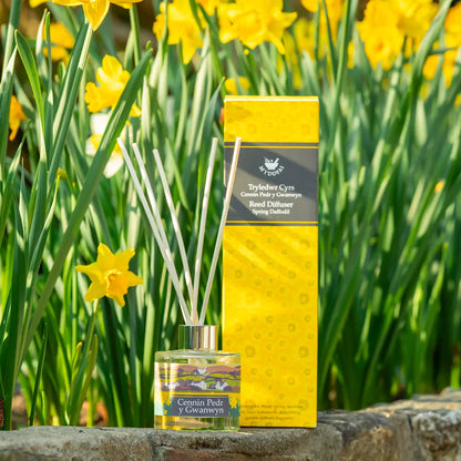 Diffuser 'Cennin Pedr' Daffodil