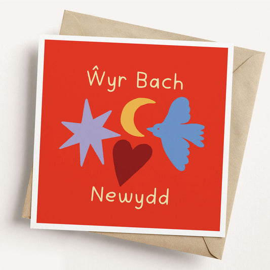 New Little Grandson Card