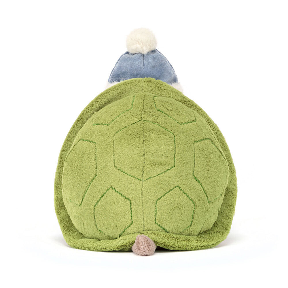 Timmy Turtle Skating