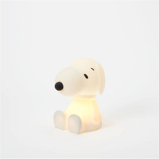 Snoopy Bundle of Light