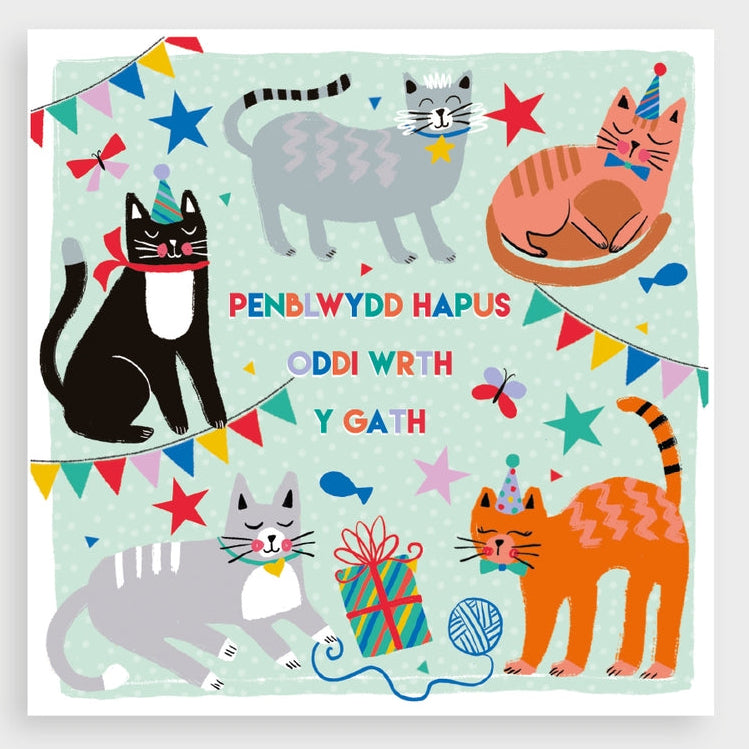 Happy Birthday From The Cat