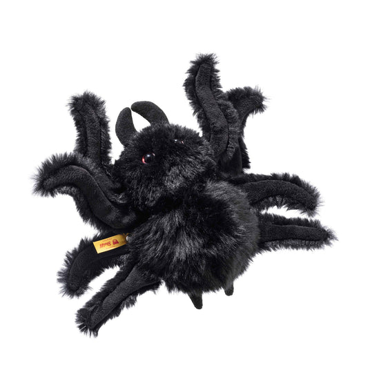 Cobweb Spider