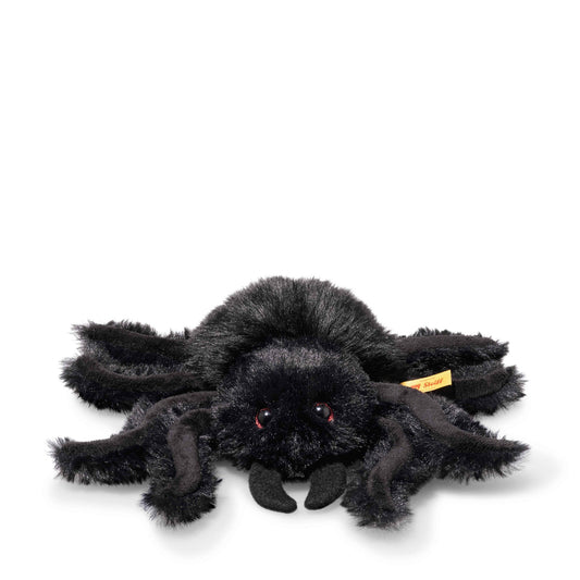 Cobweb Spider