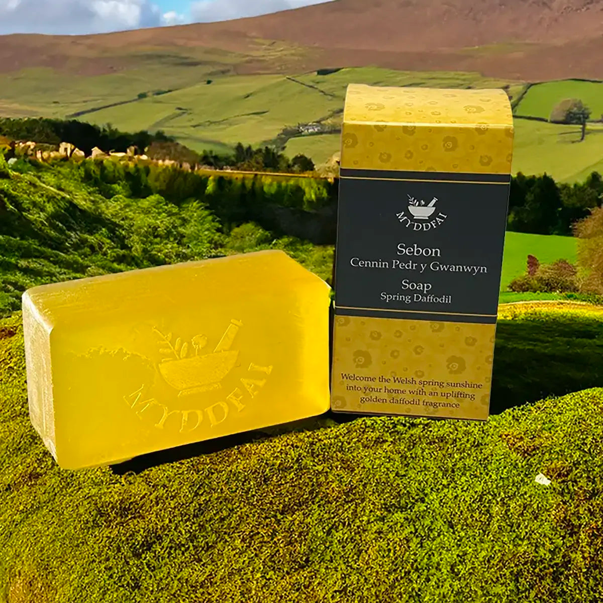 Soap 'Cennin Pedr' Daffodil