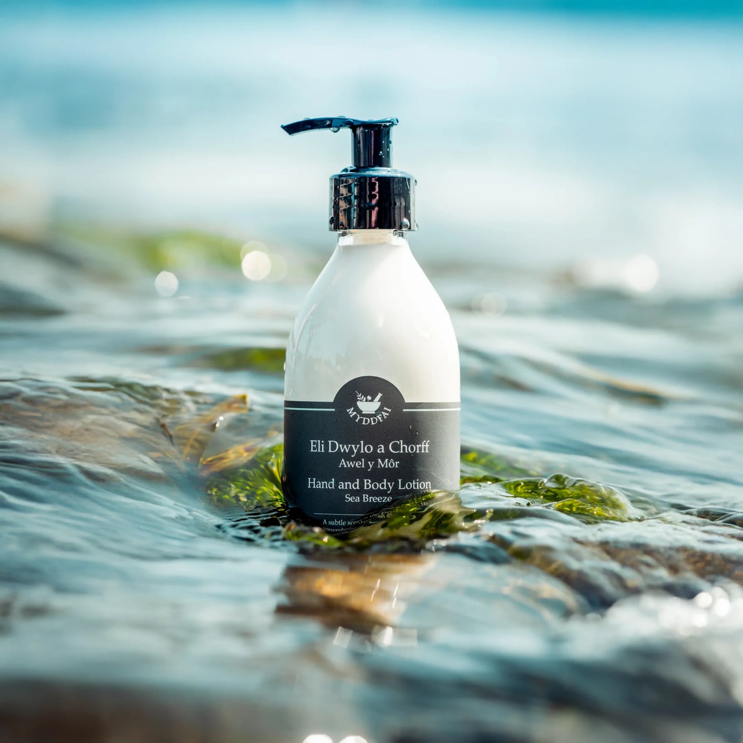 Awel y Mor Hand & Body Lotion
