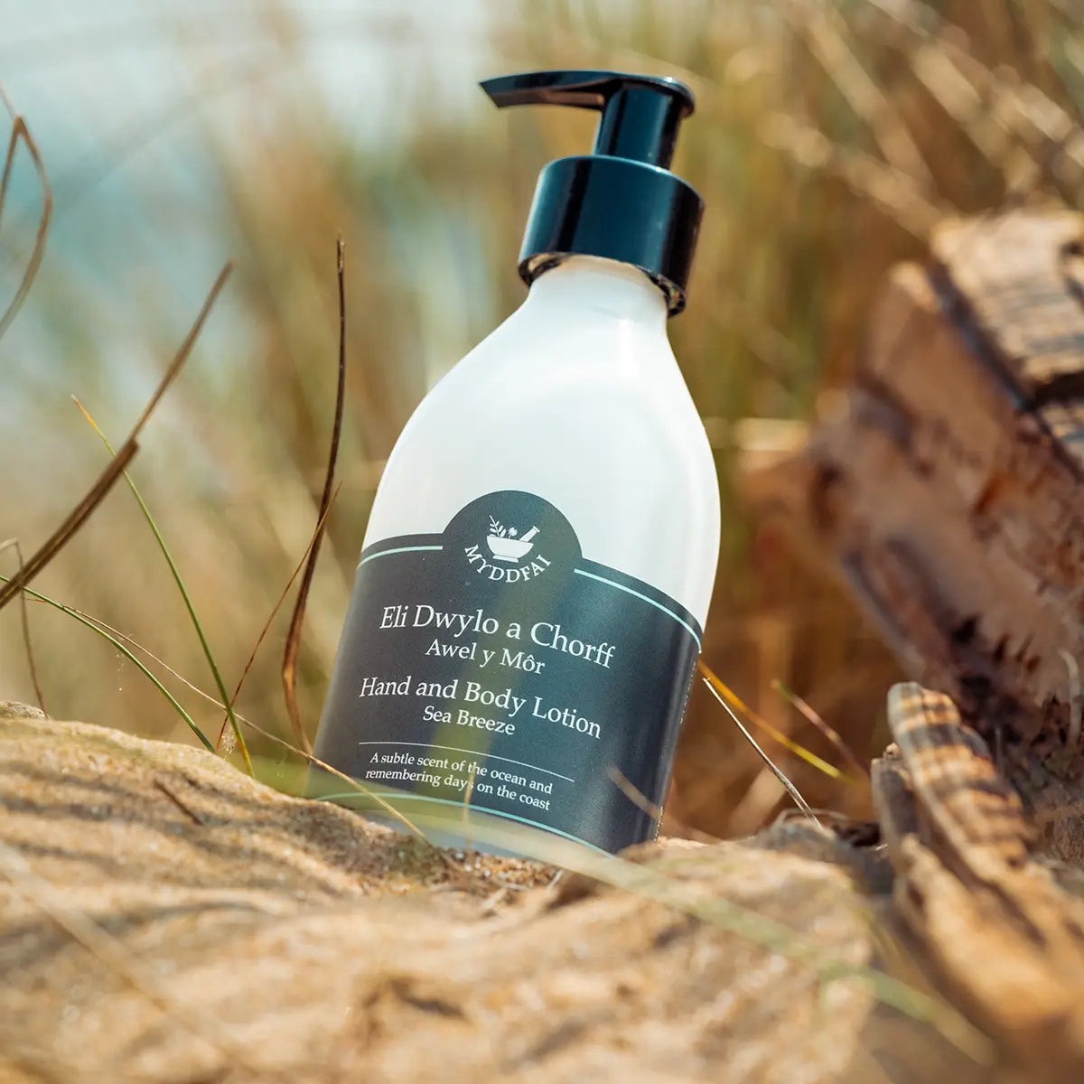 Awel y Mor Hand & Body Lotion