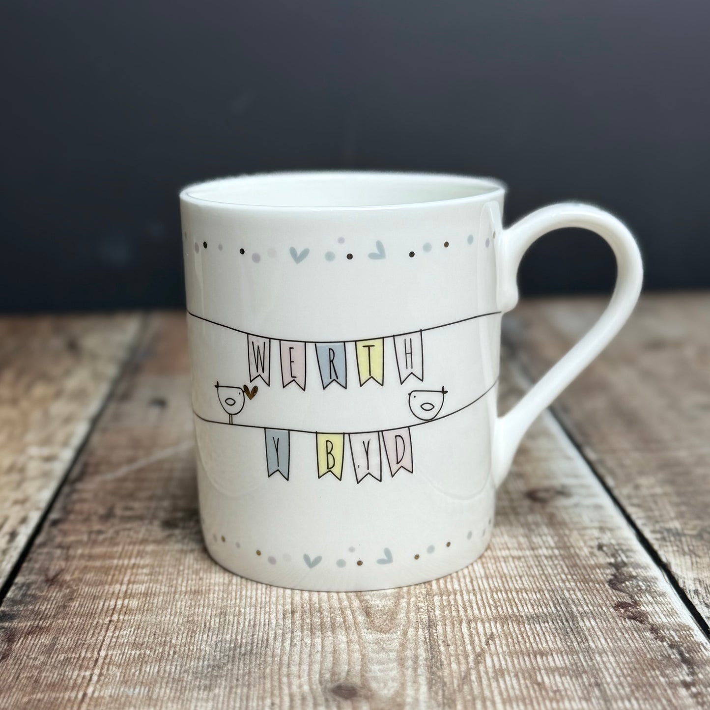 Werth Y Byd Fine China Mug