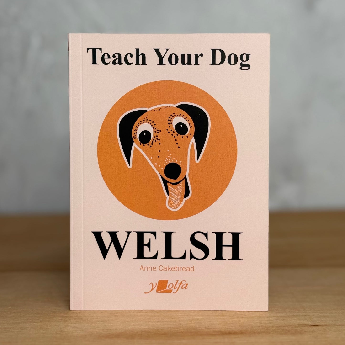 Teach Your Dog Welsh Book