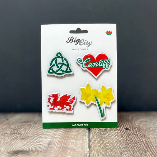 Cardiff Magnet Set of 4