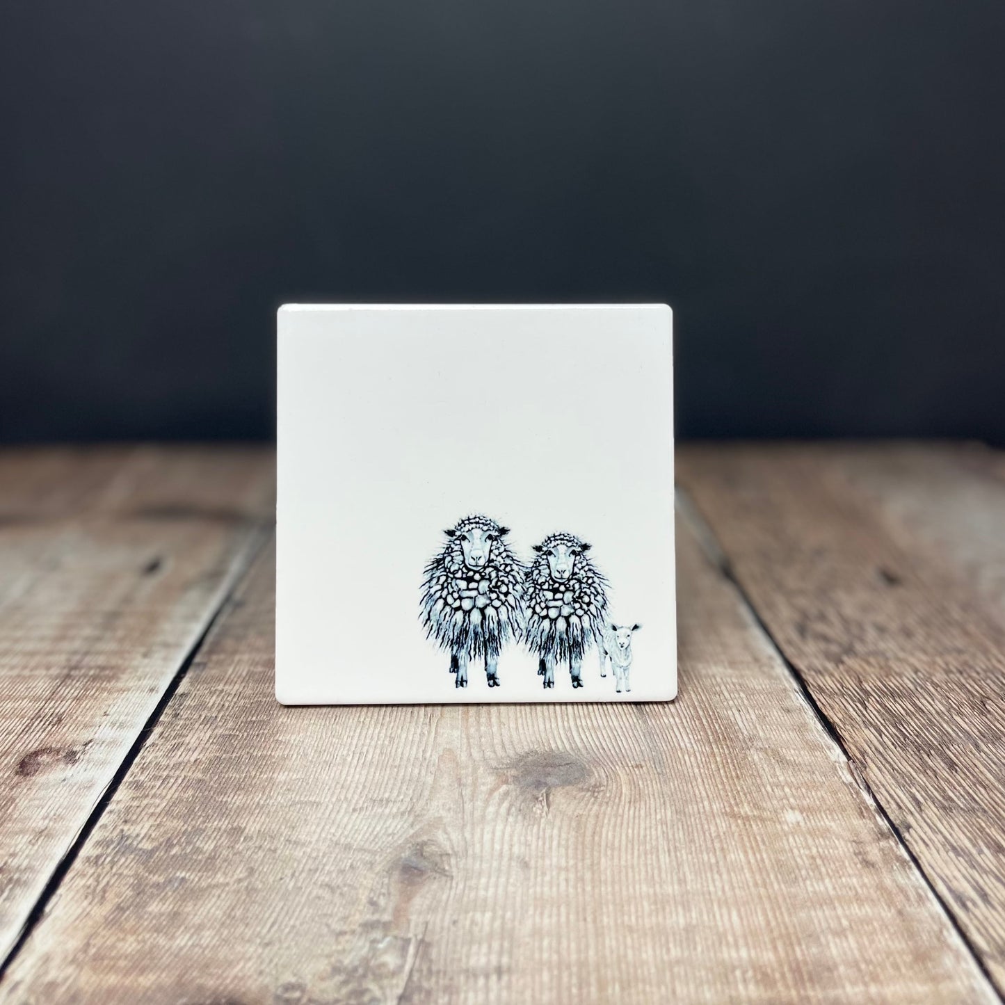 Two Sheep Family Coaster